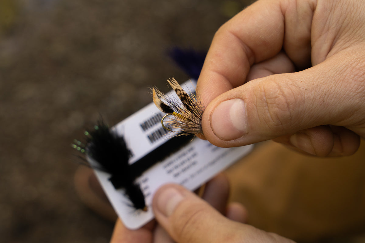 Streamer Kit – Daggerfish
