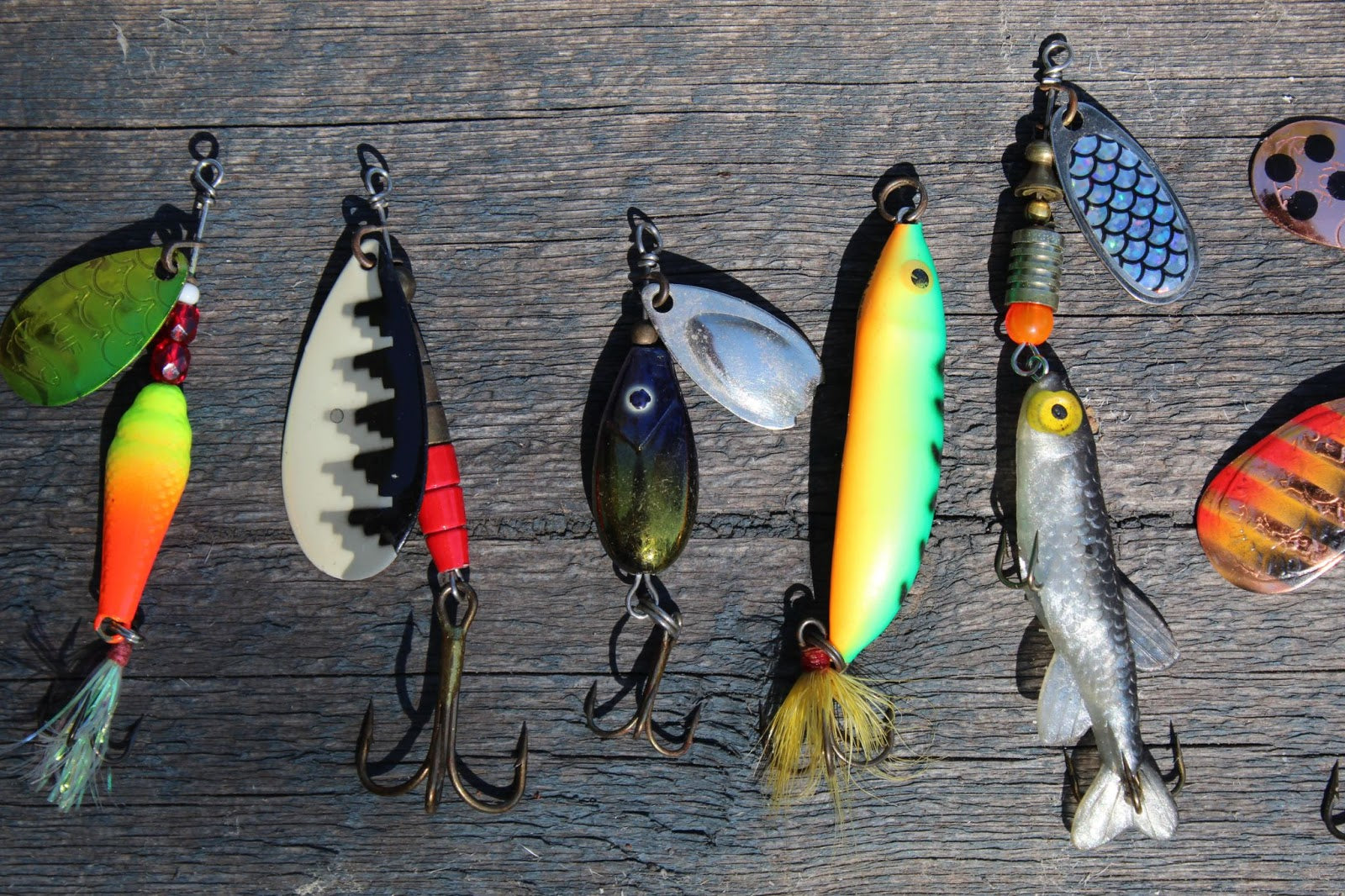 What is your favorite bait / lure and what type of fish do you use