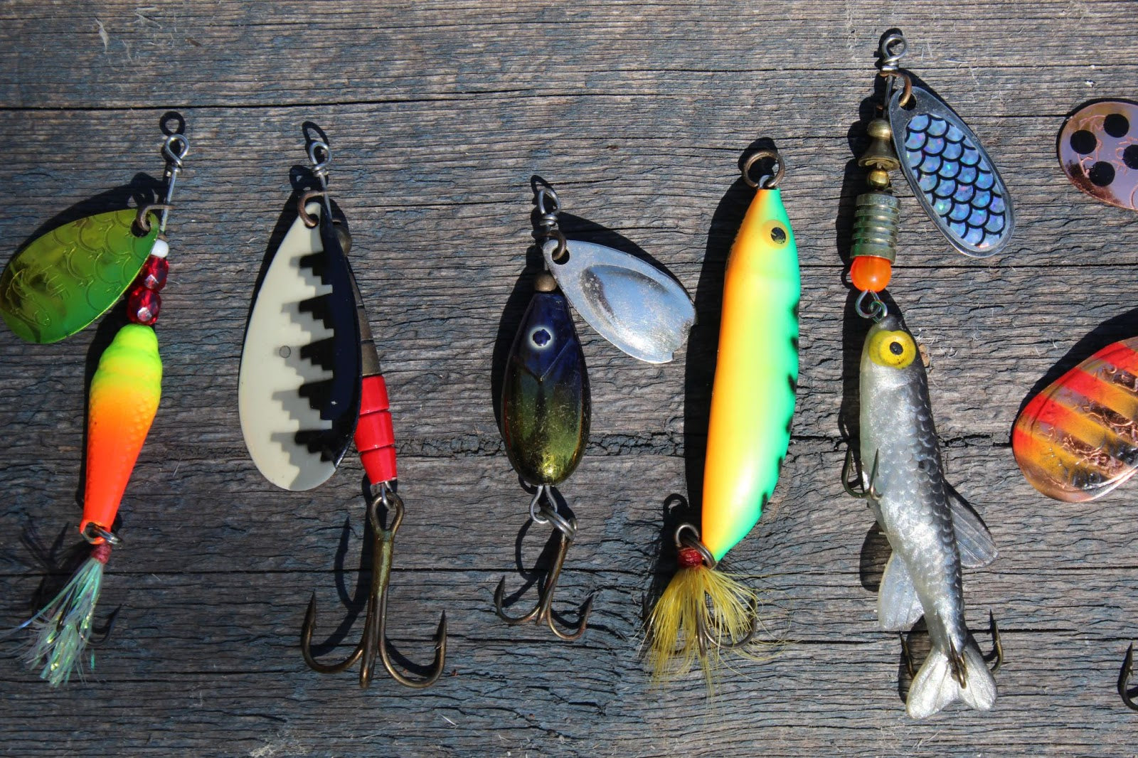 Introduction to Fishing Bait and Lures | Daggerfish Gear Introduction to Fishing Bait and Lures | Daggerfish Gear