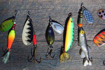 Introduction to Fishing Bait and Fishing Lures