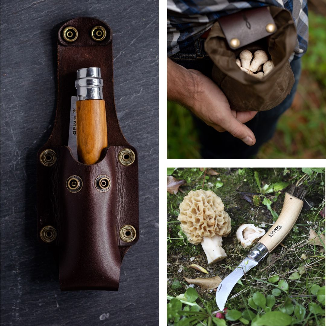 Foraging Kit – Daggerfish