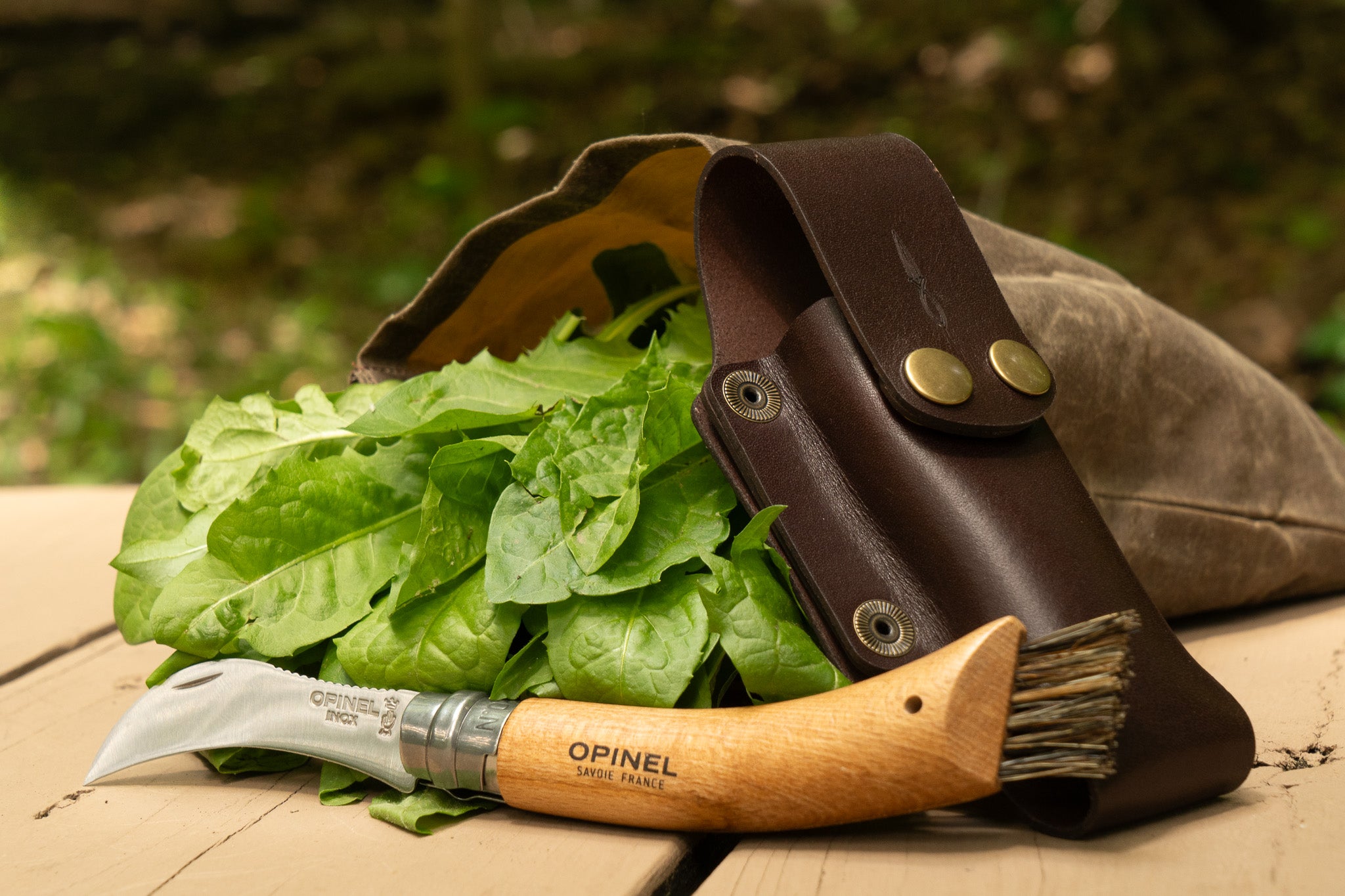 foraging gear Foraging Kit – Daggerfish