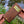 Wooden Fly Box PRESALE